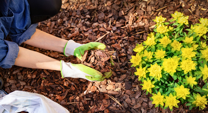 Bark-Mulch-Clarksville