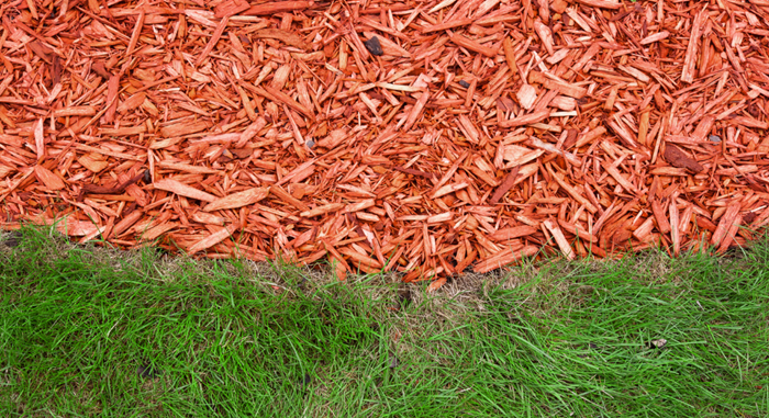 A textured surface with a contrast between red wood chips and green grass. red mulch