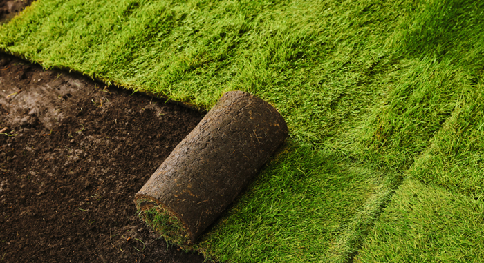 SOD-Installation-Clarksville-Tennessee-Greenlife-Services