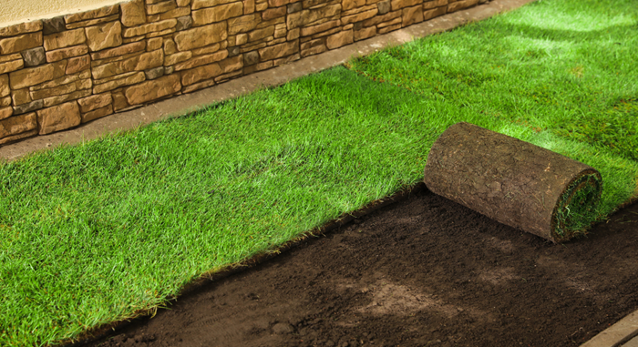 SOD Installation Greenlife Services Clarksville Tennessee