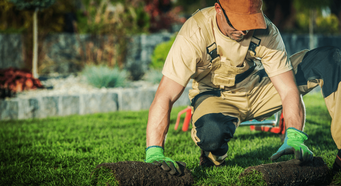 Landscaper working on lawn