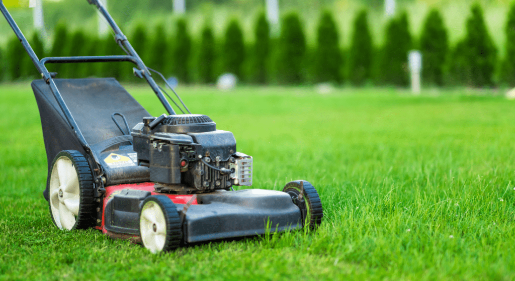 A lawn mower on freshly cut grass with neatly trimmed hedges in the background.