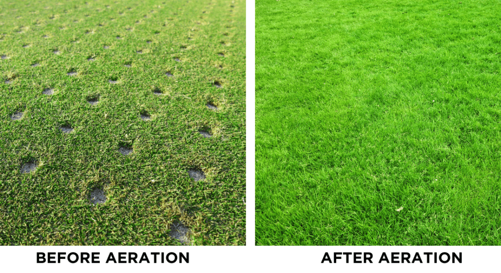 Side-by-side comparison of a lawn before and after aeration. Left: Grass with visible holes. Right: Lush, uniform green grass. The Ultimate Guide to Lawn Aeration in Clarksville, TN 