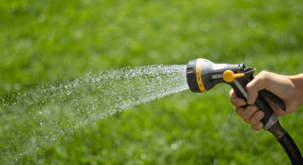 A hand holds a garden hose nozzle spraying water on green grass. How to Grow a Strong, Healthy Lawn in Clarksville, TN