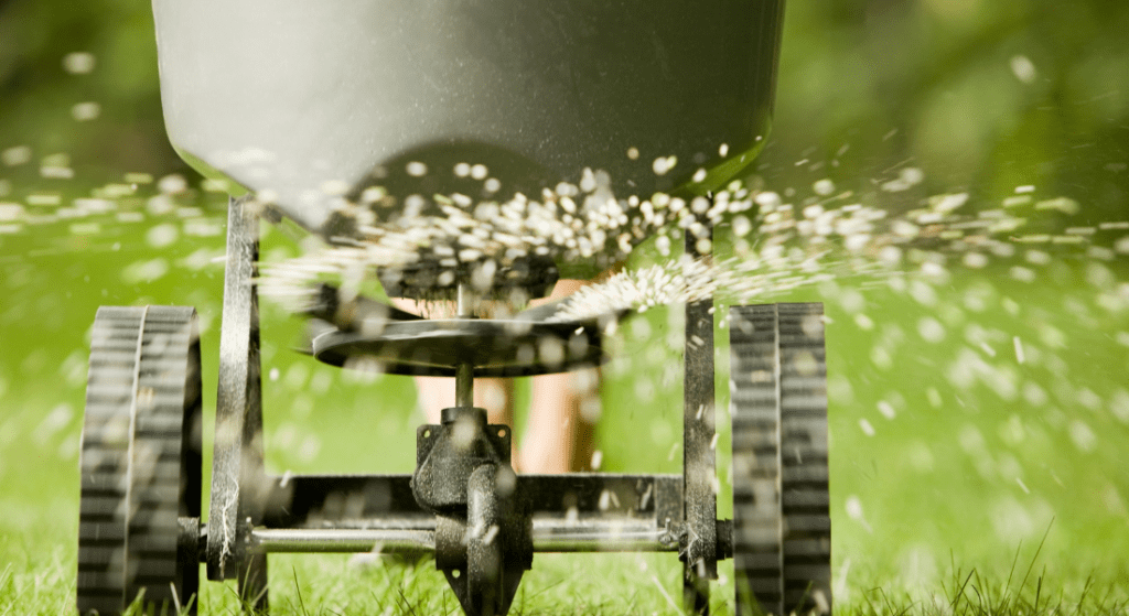 Close-up of a wheeled fertilizer spreader dispersing granules onto a lawn. How to Grow a Strong, Healthy Lawn in Clarksville, TN