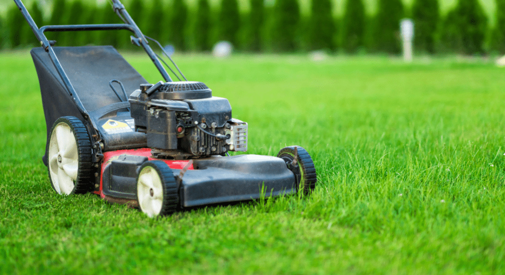 A red and black lawn mower on a freshly cut green lawn, with a line of trees blurred in the background. How to Grow a Strong, Healthy Lawn in Clarksville, TN