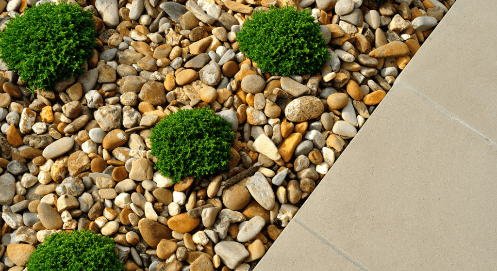 A garden bed with small green bushes planted among variously sized and colored stones, bordered by a plain concrete pathway. how much is landscape rock installation.