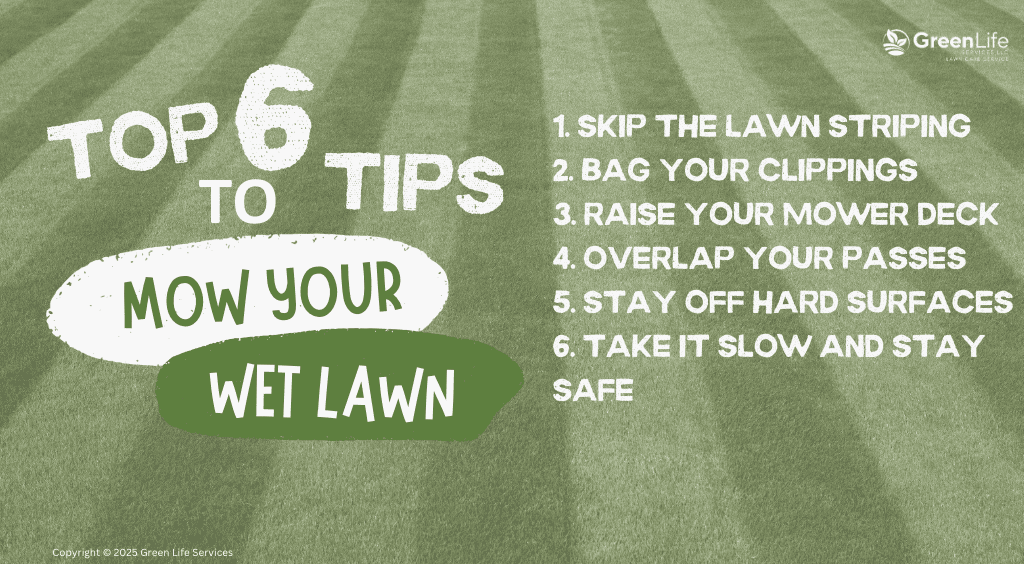 Lawn care tips graphic with grass background: "Top 6 Tips to Mow Your Wet Lawn" including suggestions like skipping striping, bagging clippings, and raising the mower deck.